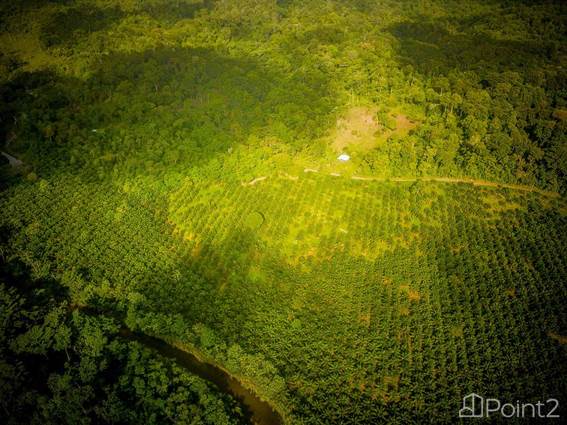 Contrary to popular belief